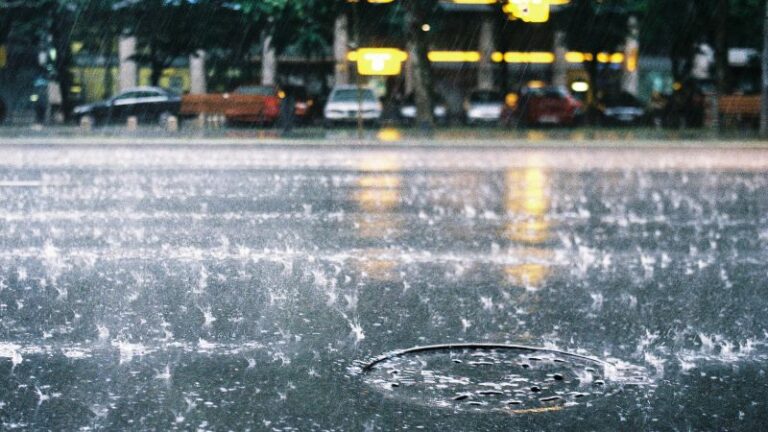 xr:d:DAFc9EuuhHI:648,j:25194398606717826,t:24041204