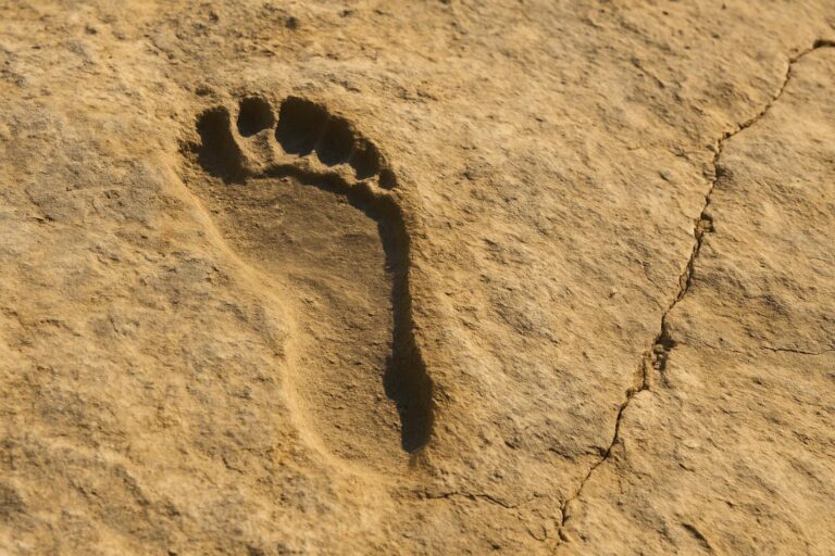 huella_laetoli_horizontal