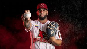 Cardenales de Lara  suma nuevos refuerzos